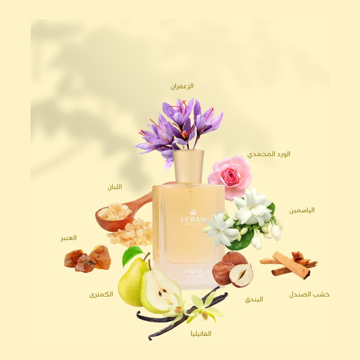 Taqah Perfume 50ml